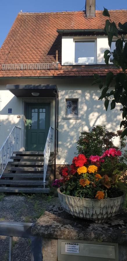 Frisch Renoviert Mit Dachterrasse - Geniesse Ruhe Und Grun Nahe Neustadt Aisch Neustadt an der Aisch Eksteriør bilde