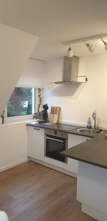 Frisch Renoviert Mit Dachterrasse - Geniesse Ruhe Und Grun Nahe Neustadt Aisch Neustadt an der Aisch Eksteriør bilde